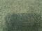 1 Yard Upholstery Boucle Fabric Bella Green Ivy Soft Durable Luxury 100% Polyester 55 Inch Width